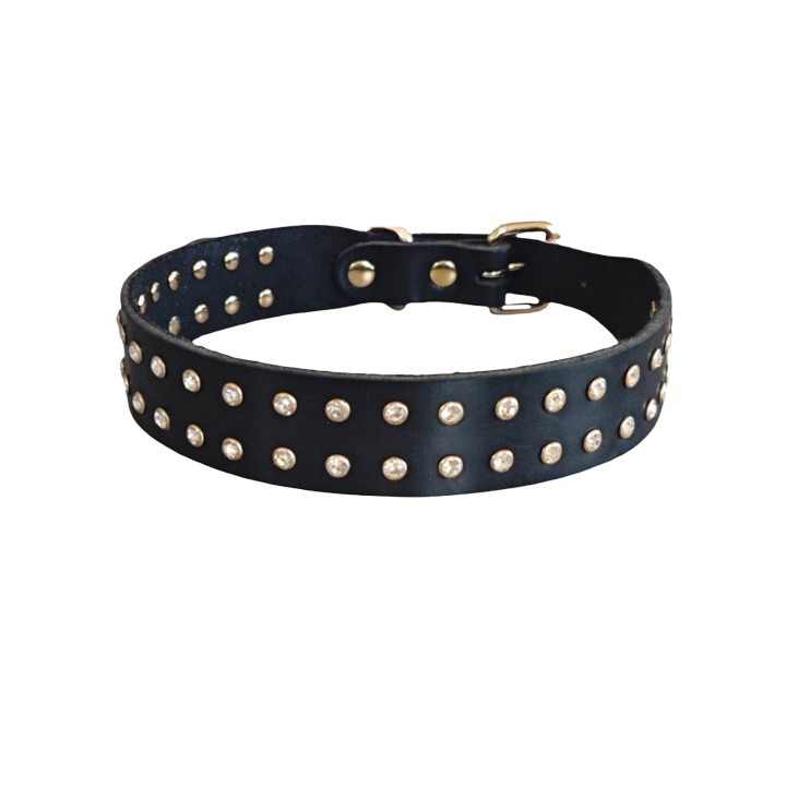 Crystal Leather Dog Collar