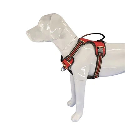 Bólstrað hundaból fyrir stóra hunda