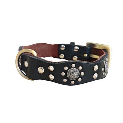 Klassískur hundakragi úr leðri