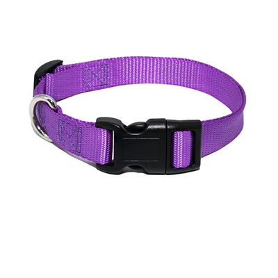 Gæludýrahálsband fyrir hunda og ketti